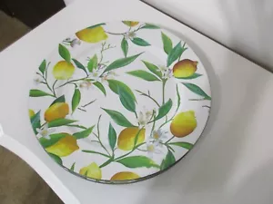SET OF 6 "SPRING" FLORAL MELAMINE TABLE CHARGERS/PLATES 13" D NWT - Picture 1 of 2