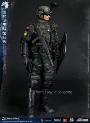 Damtoys 78053 1/6 Chinese People'S Armed Police Force Snow Leopard Commando Unit - Image 1 of 4