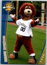 2008 Grandstand Charleston RiverDogs  Minor League - Pick Choose Your Cards 