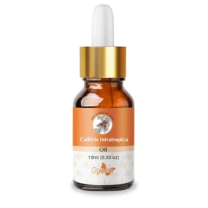 Aceite esencial natural Callitris Intratropica calidad premium, más alto estándar - Imagen 1 de 4