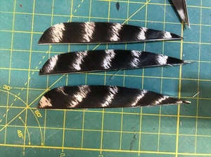 4" Right Wing Parabolic Natural Barred Feather Fletching, 25Pk Archery 🇺🇸￼ - Picture 1 of 2
