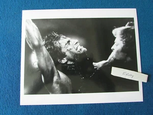 The Sword and the Sorcerer - Lee Horsley - Original Press Photo - 10"x8" - 1982 - Picture 1 of 1