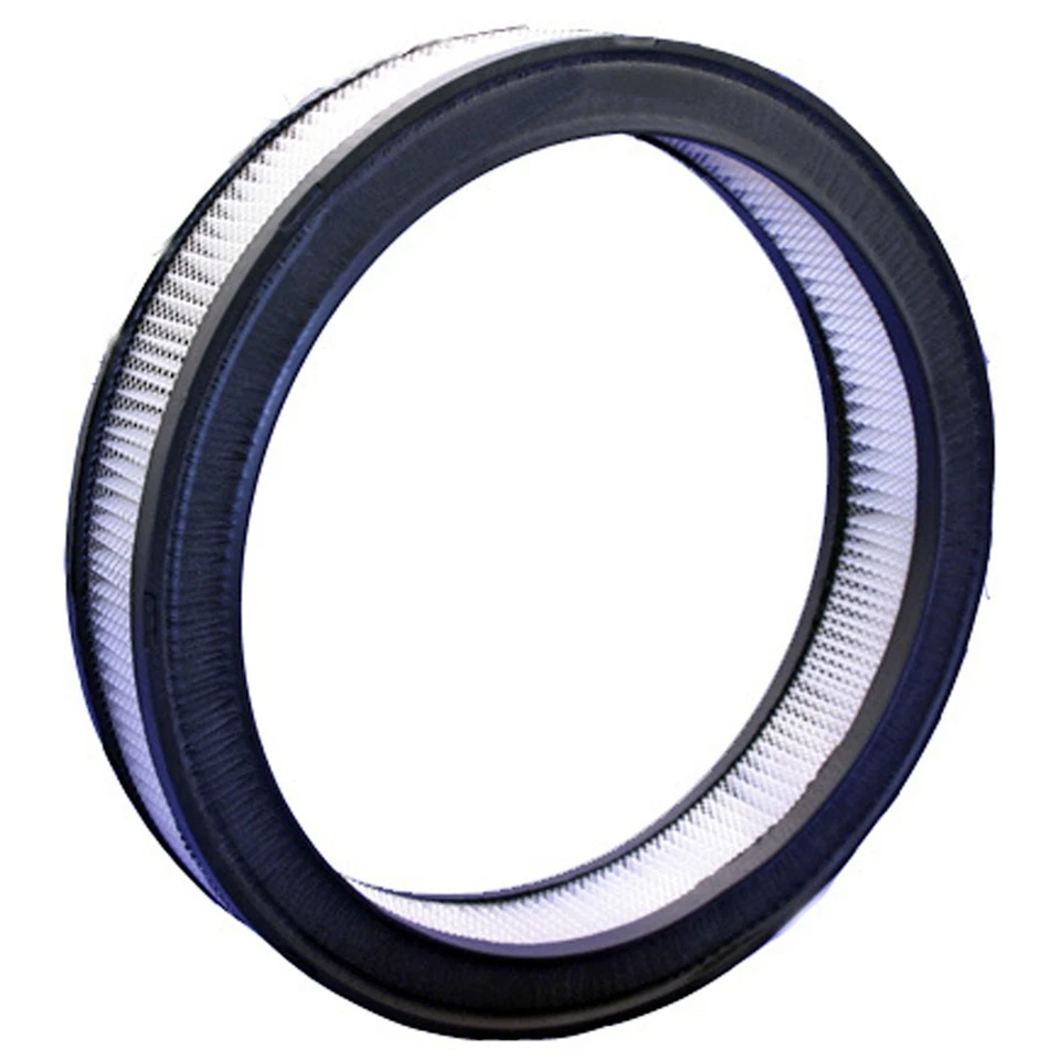 Filtro de aire Bosch 5453WS para camioneta F150 F250 F350 4 corredores Mustang Ford Bronco II Foto 1 de 1