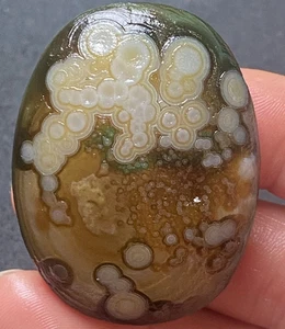 Natural Mongolia Gobi Agate Eyes Agate Stone Collection Specimen - Imagen 1 de 4