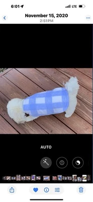 New Dog Fleece In Size M In Baby Blue Check. Fits 11 To 15 Lbs Neck 12”to 14” - Image 1 of 4