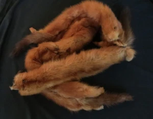 Stunning 40's 50's MINK Stole Shoulder Wrap 4 Pelts Glass Eyes Reddish Brown - Picture 1 of 11
