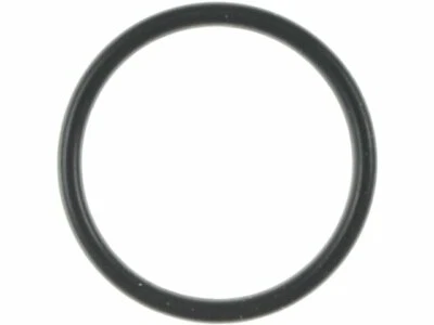 Carcaça termostato líquido refrigerante O-Ring Mahle 68733HQ para Chevrolet Silverado 3500 - Imagem 1 de 2