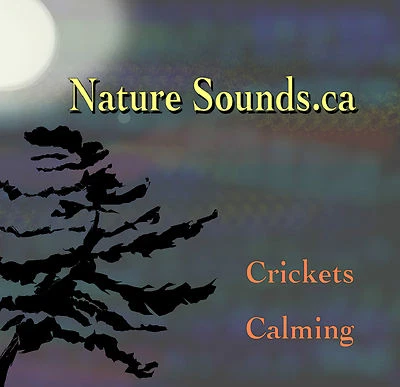 Crickets Calming CD by Nature Sounds.ca - Image 1 of 2