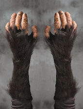 Chimpanzee Chimp Great Ape Monkey Hands Adult Halloween Costume Gloves