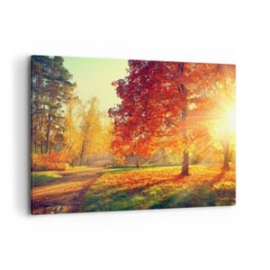 Impression sur Toile 120x80cm Tableaux Image Photo parc automne arbre Decoration - Foto 1 di 10