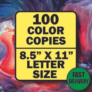 100 Custom Printed Flyers -- 8.5" x 11" -- Color Copies Printing - Picture 1 of 2