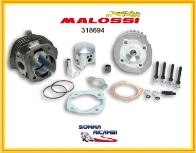 KIT CILINDRO MALOSSI 115CC PIAGGIO VESPA SPECIAL R L N PK S XL HP APE 50 DM 57,5 - Immagine 1 di 2