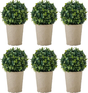 Rogue Mini Topiary Plant, Green, 30 X 23 X 20 Cm - Picture 1 of 12