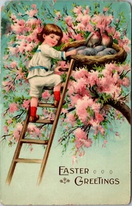 Child Climbing Ladder to Bird Nest Pink Tree Easter Greetings gel postcard 1912 - Picture 1 of 2