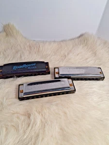 3 Harmonica's, Roadhouse Blues, 2 Blue Band Hohner International - Picture 1 of 10
