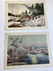 Two Rex Brasher Hand Colored Prints Whistling Swans, Gosehawk Ca. 1930 - Picture 1 of 18