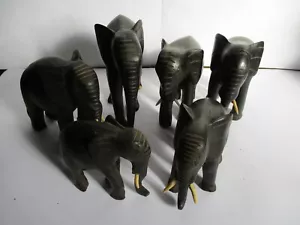 six elephants in African wood, some are missing teeth - Picture 1 of 12