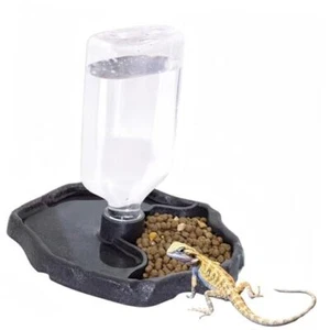 17oz 2 in 1 Terrarium Tank Reptile Food Feeders Bowl, Water Feeder Dark Brown - Picture 1 of 7
