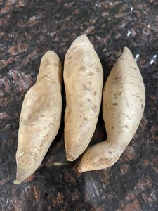 Okinawa Sweet Purple Potatoes~2 lbs Tubers~For Consumption - Picture 1 of 2