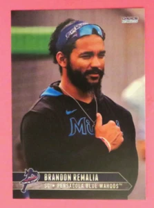 2025 Choice, Pensacola Blue Wahoos, Strength/Conditioning Coach -BRANDON REMALIA - Picture 1 of 1