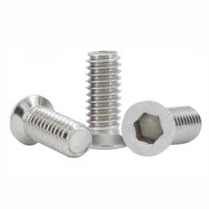 30pcs M3 SUS304 Allen Screw Hexagon Socket Small Countersunk Falt Head Nail - Picture 1 of 2