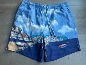 NUEVO CON ETIQUETAS PETER MILLAR PANTALONES CORTOS DE BAÑO JUNTO AL MAR TALLA XL - Imagen 1 de 6