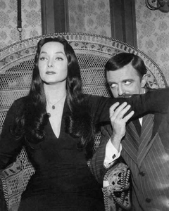 380444 The Addams Family John Astin Carolyn Jones WALL PRINT POSTER US - Picture 1 of 7