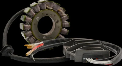 Kit de carga compatible con iones de litio Rick regulador de estator Kawasaki 400 LTD 79 Foto 1 de 4