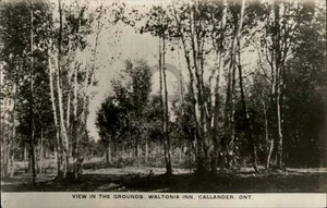 Canada RPPC Callander,ON View in the Grounds Waltonia Inn Ontario Photo Postcard - Picture 1 of 5