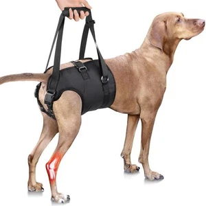 Dog Lift Harness - Adjustable Sling Support for Large Dogs Hind Legs Mobility... - Picture 1 of 6