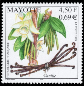 MAYOTTE 130 - Vailla Flower "Vanilla fragrans" (pb87216) - Picture 1 of 1