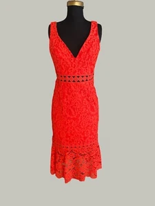 Women's NWT Bardot Fiona Lace Fit and Flare V Neck Dress Valentines Day Sz S/6 - Picture 1 of 13