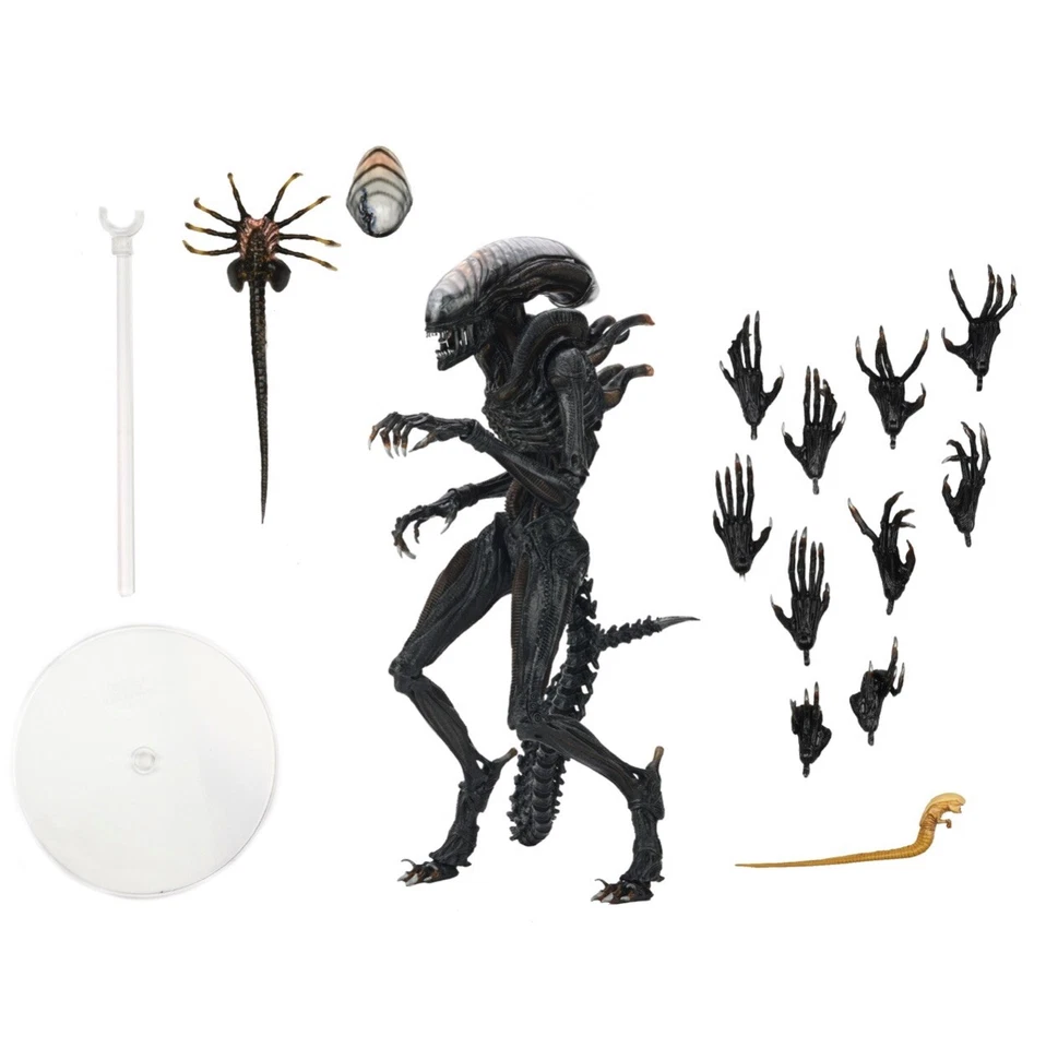 SCORCHED XENOMORPH Alien Romulus Movie 7" Scale 9" inch Action Figure Neca 2024