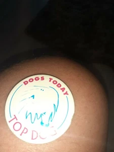 Hunde heute Vintage Abzeichen - Bild 1 von 2