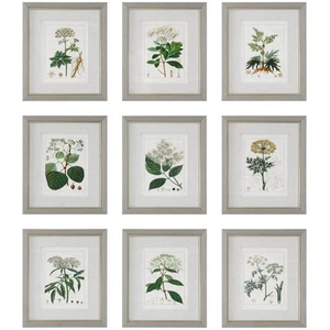 Uttermost 41466 Antique 20 X 17 inch Framed Prints, Set of 9 - Picture 1 of 7
