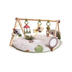 Luxe Developmental Gymini, Stylish Wooden Tiny Love Baby Play Gym - RRP£100