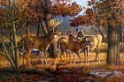 Deers in the maple forest Oil painting Giclee Art HD Printed on canvas L3348
