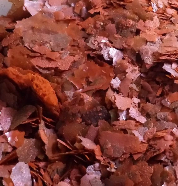 EVERYTHING AQUATIC Antibiotic Duo Flake