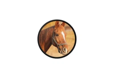 AKACHAFACTORY Patch aufnäher aufbügler pferd