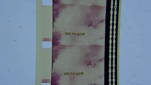 16mm HEY, I'M ALIVE Feature Film stars Ed Asner-1975 Plane Disaster TV movie - Bild 1 von 24