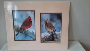 Wildlife Cardinal Fotoabzüge von Rick Denomme ungerahmt - Bild 1 von 6