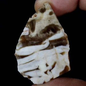 49.20 Cts Natural Australian Peanut Wood Jasper Rough Loose Gemstone Wire Wrap - Picture 1 of 5