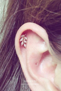 Orecchino cartilagine foglia 16 g, elica conchiglia orecchino, orecchini foglia, 316L SS, 1 pz - Foto 1 di 6