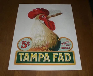 TAMPA FAD 5 CENTS CIGAR BOX INNER LABEL ART 11x14 PRINT - Picture 1 of 1