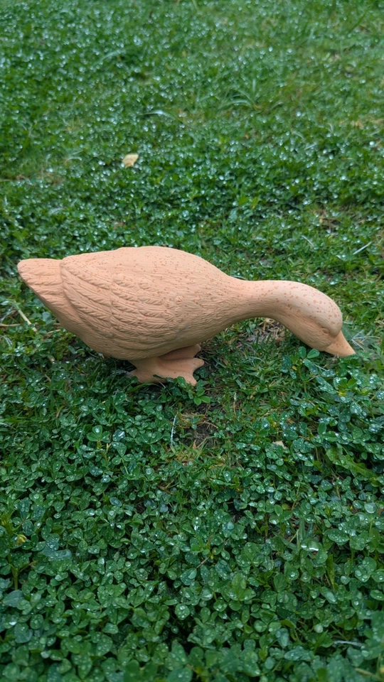 Sleeping Duck  - image 1 of 1