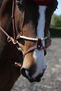 John Whitaker Seilblitz Nasenband