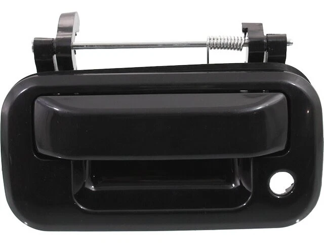 Replacement AP 68GP96S Tailgate Handle Fits 2004-2014 Ford F150 Tailgate Handle Foto 1 de 1