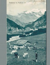Aosta Gressoney La Trinitè Pascolo Mucche F. piccolo non spedita