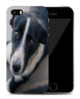 Case Cover For Apple Iphone|adorable Cute Puppy Dog Canine 48