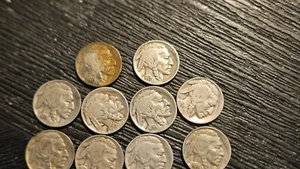 Lot Of 10 Buffalo Nickles Lot D - Picture 1 of 9